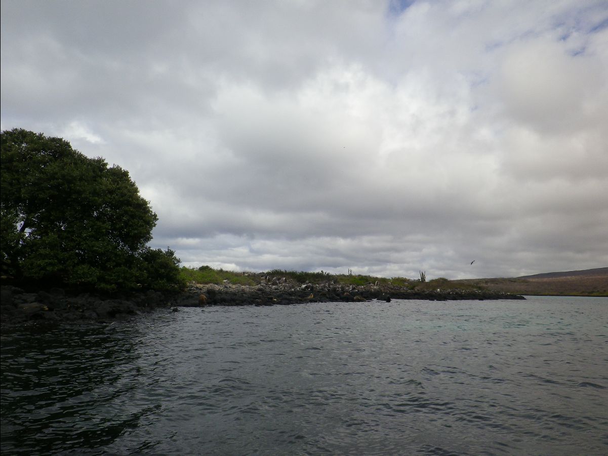 Galapagos Islands05